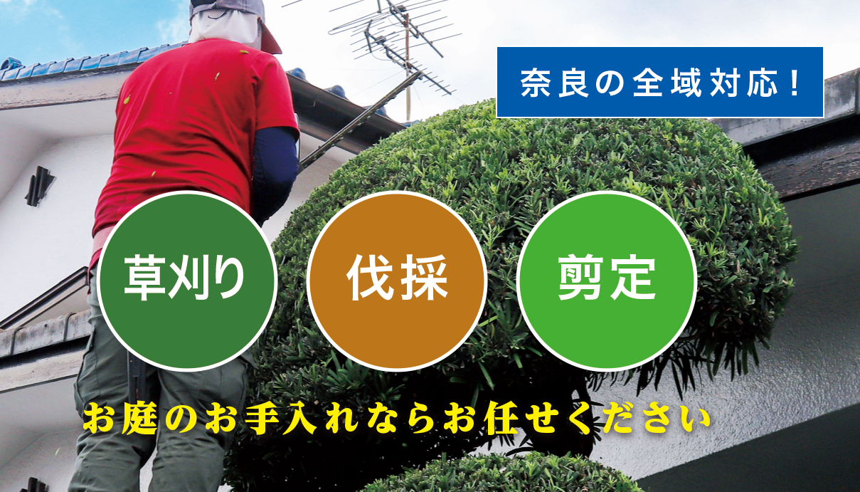 �����s�ő�����E����E���̂Ȃ�u����̑叫�v